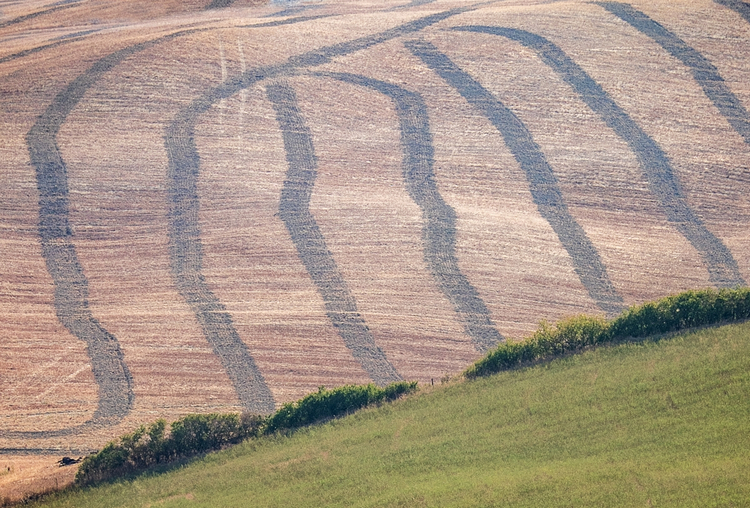 2015-cretesenesi-03-ValDOrcia050515 005